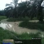 PT. Mega Sawindo Perkasa Tanam Sawit Pada Daerah Aliran Sungai